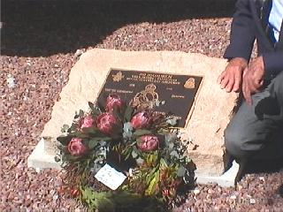 460amb13.jpg (22974 bytes)