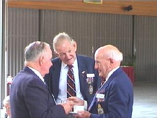 460amb31.jpg (15116 bytes)