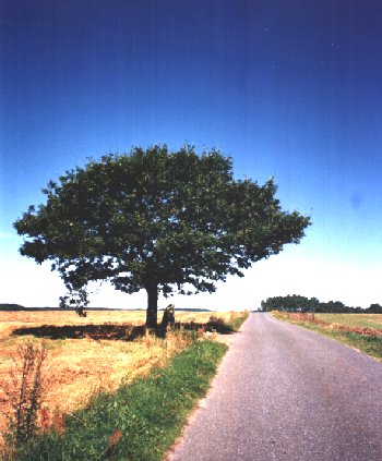 w4330a.jpg (38089 bytes)