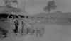 7sqn01.jpg (66296 bytes)