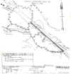 higginsfield01.jpg (92402 bytes)