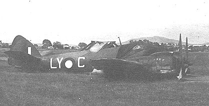 beau01.jpg (23146 bytes)