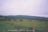 dis01.jpg (29955 bytes)
