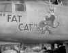 fat04.jpg (57285 bytes)