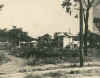 fel122.jpg (39759 bytes)