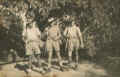 lj46.jpg (35477 bytes)