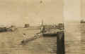 lj48.jpg (31911 bytes)