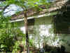21henryst05.jpg (80942 bytes)