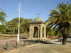 campyeronga01.jpg (45988 bytes)