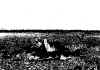 lr04.jpg (76942 bytes)