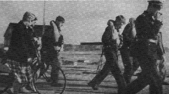 lund06.jpg (29434 bytes)