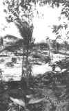 ar05.jpg (53308 bytes)