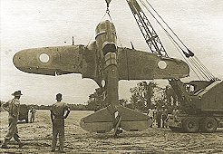 dump01.jpg (18095 bytes)