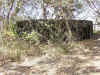 markwatts09.jpg (138617 bytes)