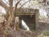 markwatts15.jpg (104625 bytes)