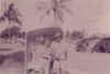 tv33.jpg (20678 bytes)