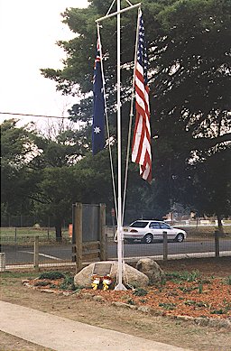 nsw33b.jpg (40465 bytes)