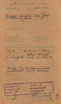nsw61f.jpg (61409 bytes)