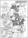 petrie02.jpg (302224 bytes)