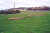cowra04.jpg (79119 bytes)