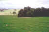 cowra08.jpg (66459 bytes)