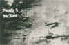 14fshq17.jpg (102224 bytes)