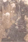 daveney36.jpg (36533 bytes)