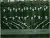 jackmcnally31.jpg (72675 bytes)