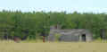 tp05.jpg (78420 bytes)