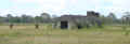 tp09.jpg (87192 bytes)