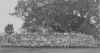 548sqn01.jpg (350397 bytes)