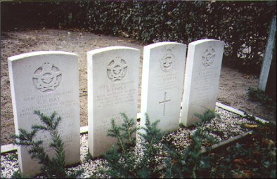 suemcd02.jpg (32024 bytes)