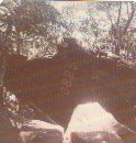 tt04.jpg (6127 bytes)