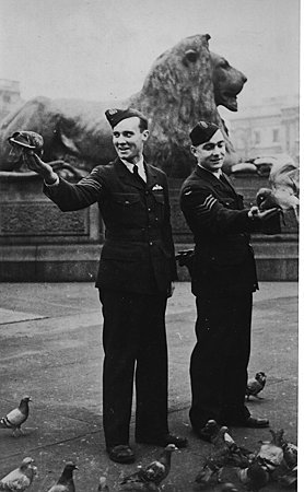 will02.jpg (29787 bytes)